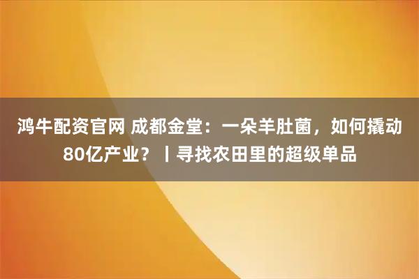 鸿牛配资官网 成都金堂：一朵羊肚菌，如何撬动80亿产业？丨寻找农田里的超级单品