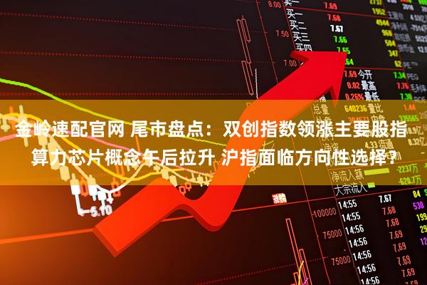 金岭速配官网 尾市盘点：双创指数领涨主要股指 算力芯片概念午后拉升 沪指面临方向性选择？